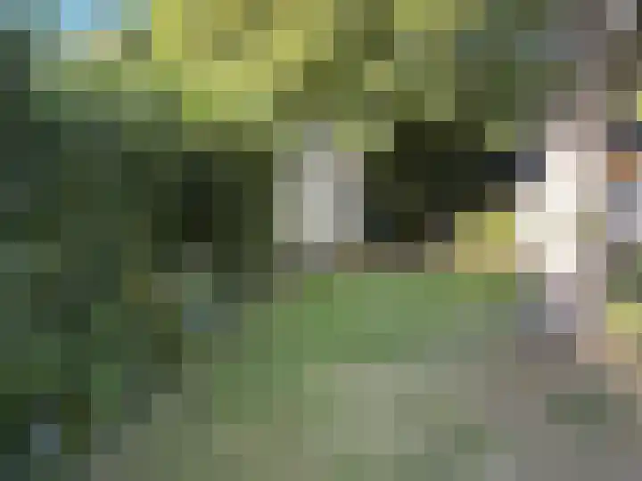 Sint Maartensweg 40 h3 Sint Maartensvlotbrug thumbnail 32