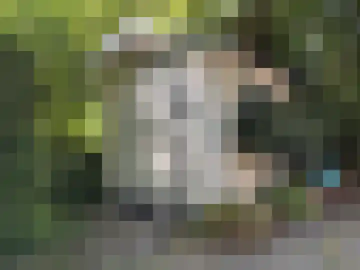 Sint Maartensweg 40 h3 Sint Maartensvlotbrug thumbnail 33