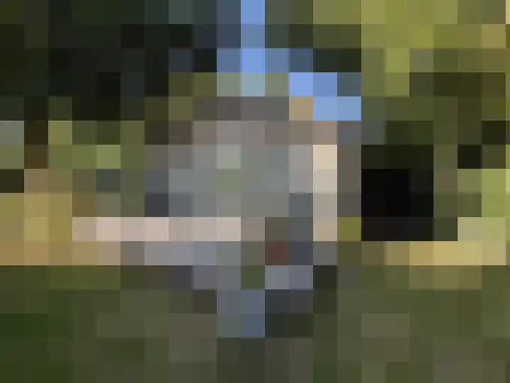 Sint Maartensweg 40 h3 Sint Maartensvlotbrug thumbnail 5