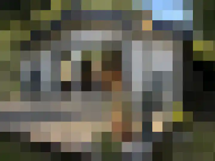 Sint Maartensweg 40 h3 Sint Maartensvlotbrug thumbnail 6