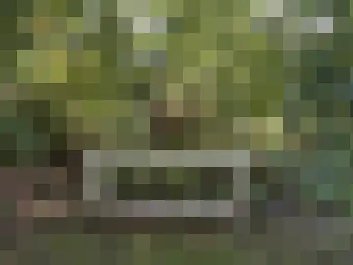 Sint Maartensweg 40 h3 Sint Maartensvlotbrug thumbnail 7