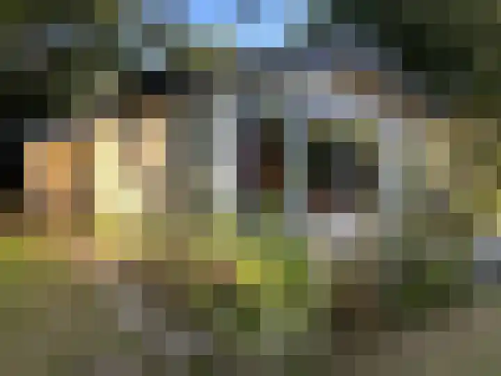 Sint Maartensweg 40 h3 Sint Maartensvlotbrug thumbnail 9