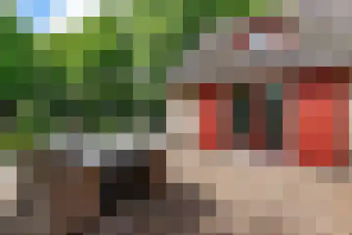 Sint Magnuswei 3 Hoornsterzwaag thumbnail 10