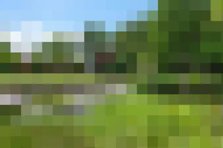 Sint Magnuswei 3 Hoornsterzwaag thumbnail 11