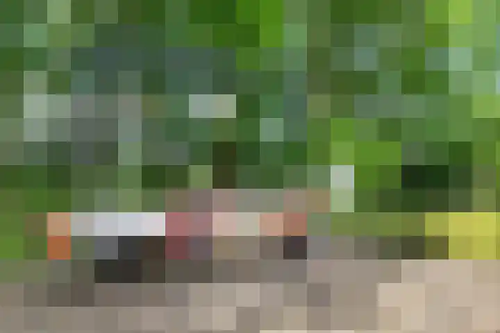 Sint Magnuswei 3 Hoornsterzwaag thumbnail 12