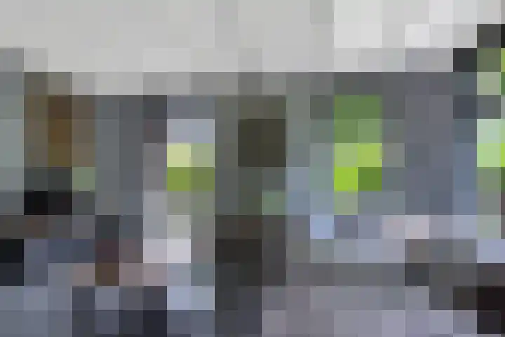 Sint Magnuswei 3 Hoornsterzwaag thumbnail 17