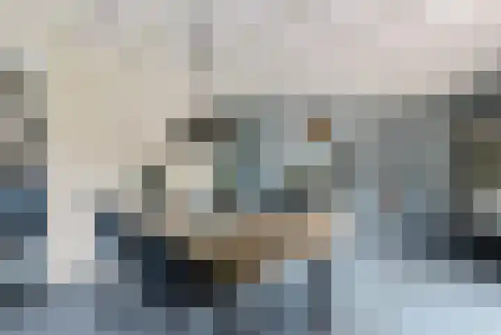 Sint Magnuswei 3 Hoornsterzwaag thumbnail 20