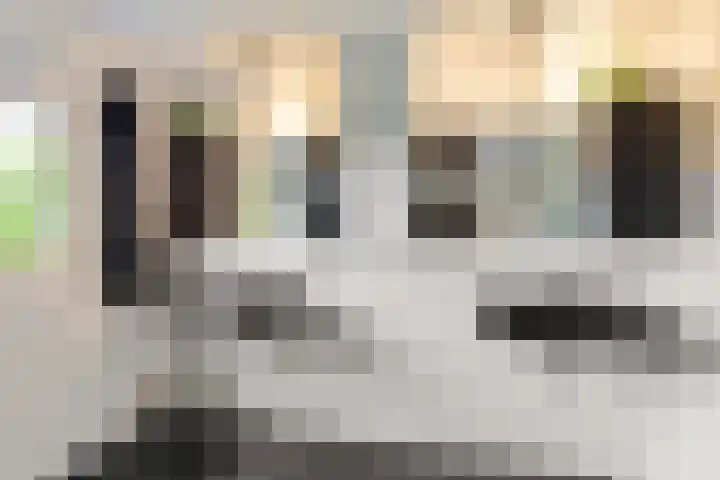 Sint Magnuswei 3 Hoornsterzwaag thumbnail 28