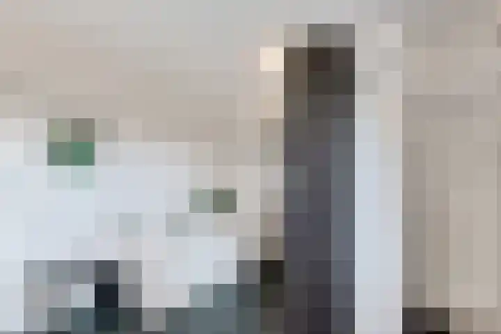 Sint Magnuswei 3 Hoornsterzwaag thumbnail 30
