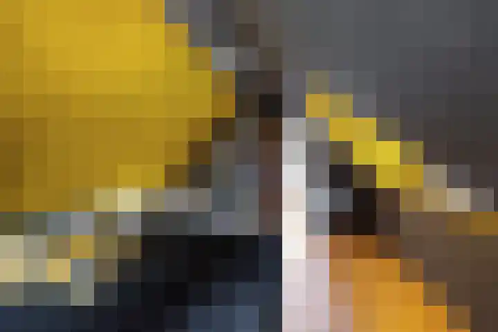 Sint Magnuswei 3 Hoornsterzwaag thumbnail 34