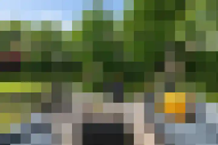 Sint Magnuswei 3 Hoornsterzwaag thumbnail 36