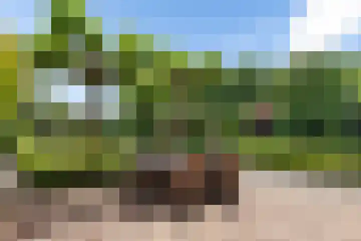 Sint Magnuswei 3 Hoornsterzwaag thumbnail 37