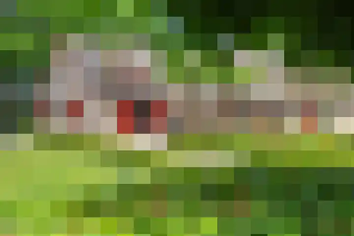 Sint Magnuswei 3 Hoornsterzwaag thumbnail 4
