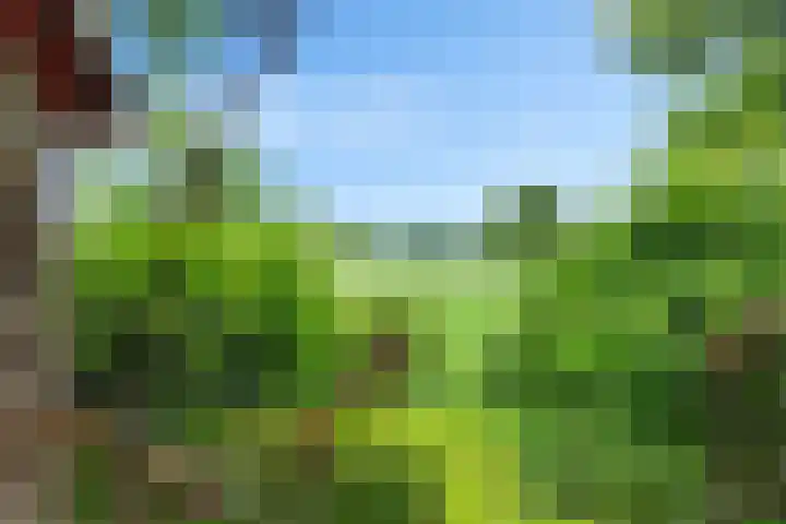 Sint Magnuswei 3 Hoornsterzwaag thumbnail 45
