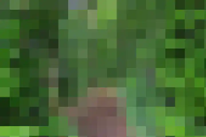 Sint Magnuswei 3 Hoornsterzwaag thumbnail 47