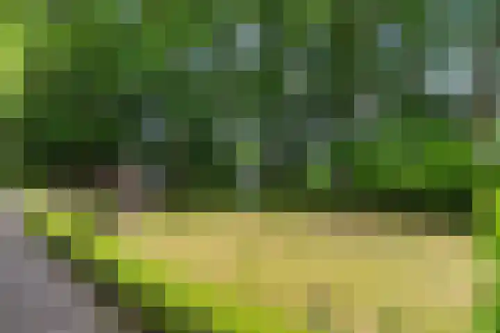 Sint Magnuswei 3 Hoornsterzwaag thumbnail 7