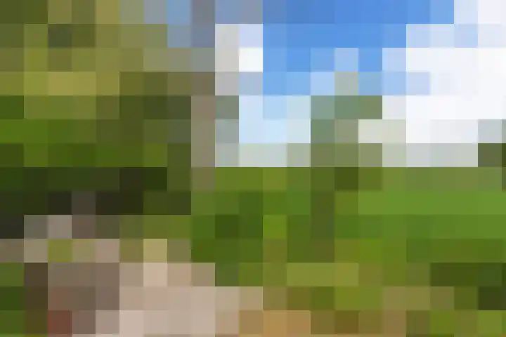 Sint Magnuswei 3 Hoornsterzwaag thumbnail 8