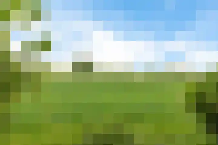 Sint Magnuswei 3 Hoornsterzwaag thumbnail 9
