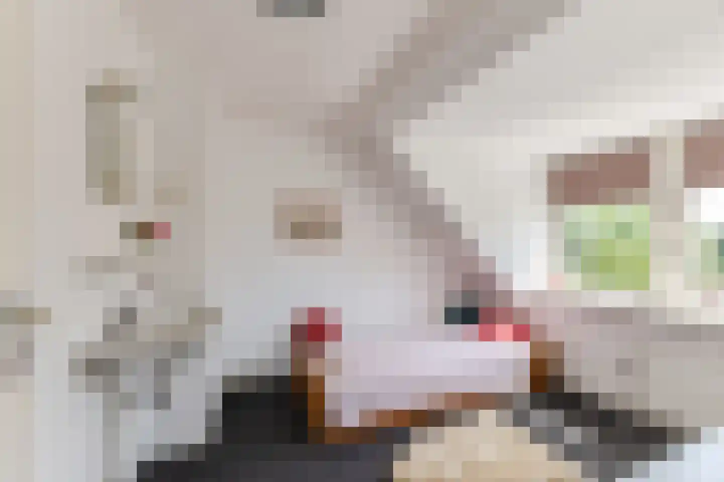 Sint Marcusstraat 2 Tilburg thumbnail 32