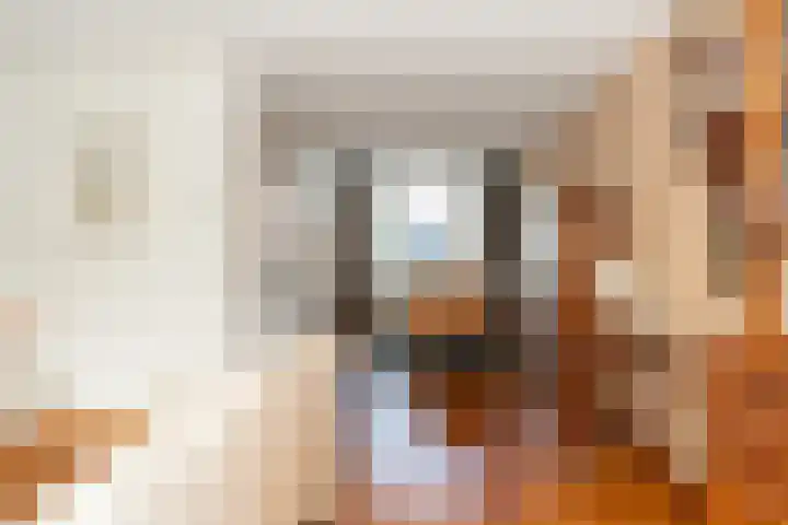 Sint Marienweg 25 Epe thumbnail 15