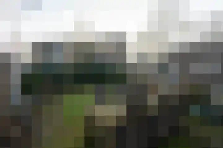 Sint Marienweg 25 Epe thumbnail 39