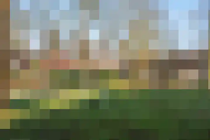 Sint Marienweg 25 Epe thumbnail 45