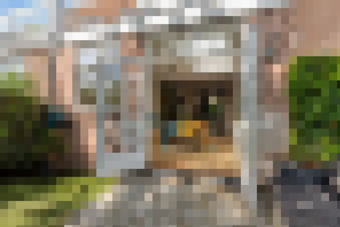Sint Marten 10 Arnhem thumbnail 25