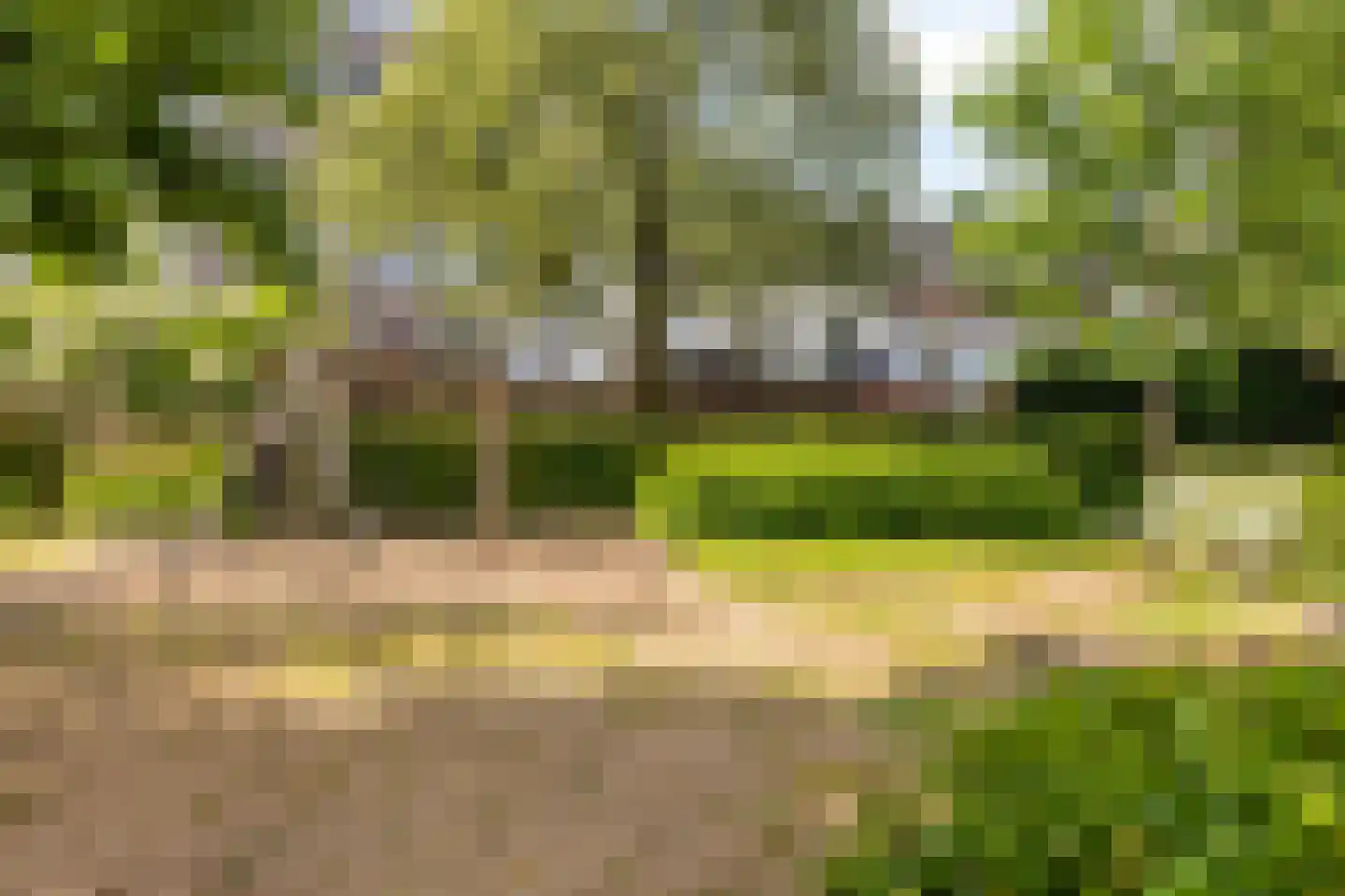 Sint Marten 10 Arnhem thumbnail 28