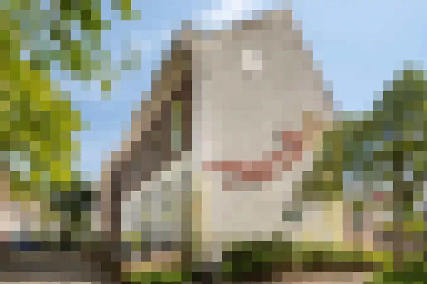 Sint Marten 10 Arnhem thumbnail 30
