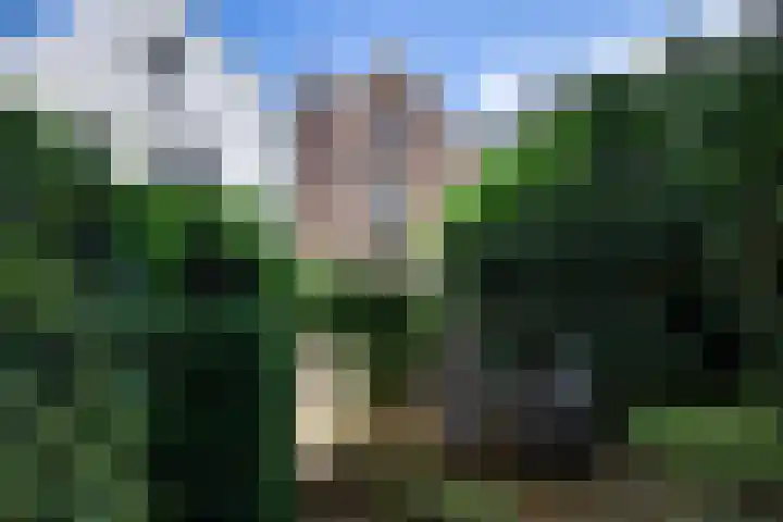 Sint Marten 33 Arnhem thumbnail 15