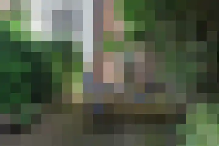 Sint Marten 33 Arnhem thumbnail 17