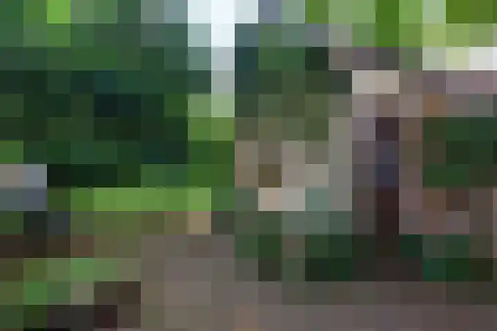 Sint Marten 33 Arnhem thumbnail 21