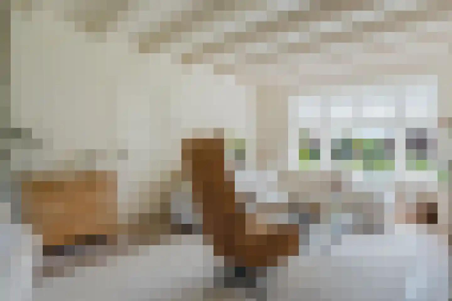 Sint Martensdyk 29 Scharnegoutum thumbnail 10