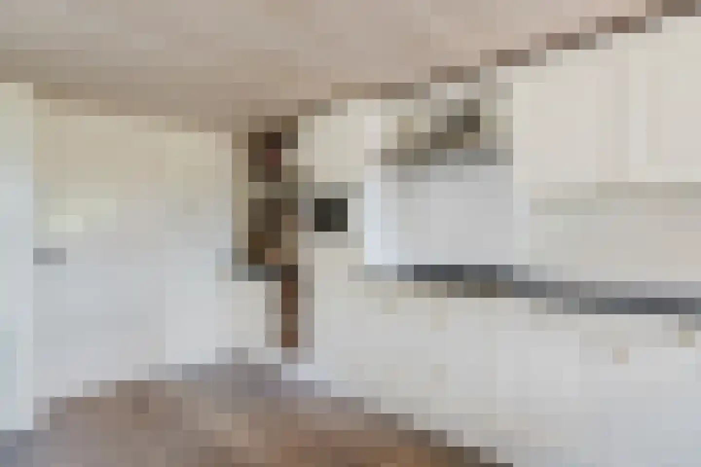Sint Martensdyk 29 Scharnegoutum thumbnail 22