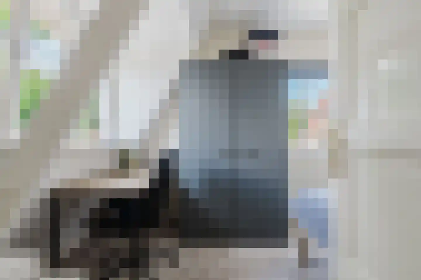 Sint Martensdyk 29 Scharnegoutum thumbnail 30
