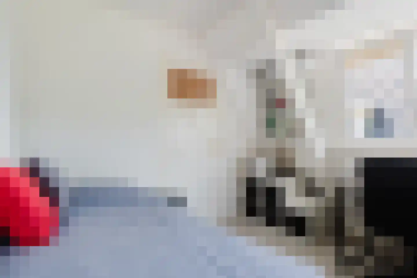 Sint Martensdyk 29 Scharnegoutum thumbnail 31