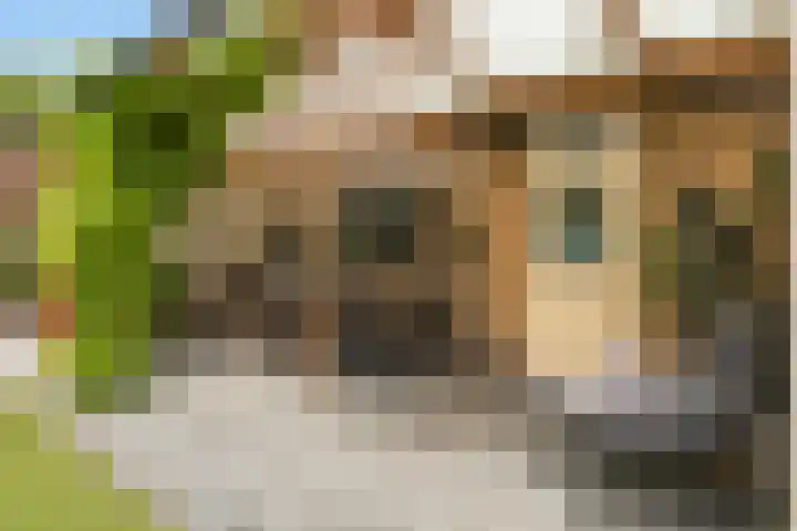 Sint Martensdyk 34 Scharnegoutum thumbnail 14