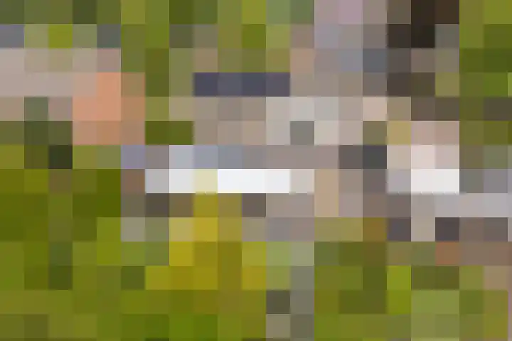 Sint Martensdyk 34 Scharnegoutum thumbnail 16