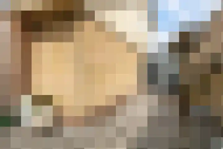 Sint Martensdyk 34 Scharnegoutum thumbnail 25