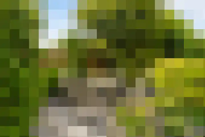 Sint Martensdyk 34 Scharnegoutum thumbnail 27