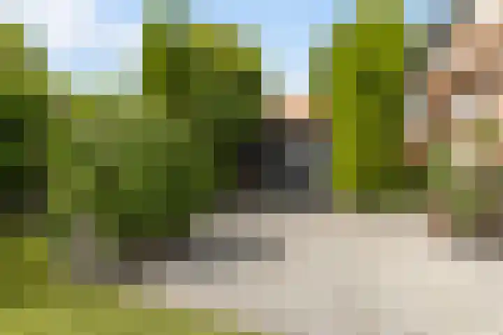 Sint Martensdyk 34 Scharnegoutum thumbnail 28