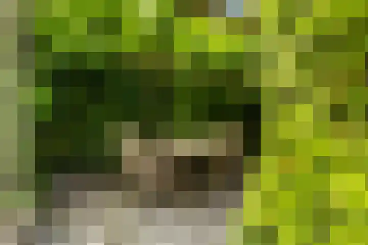 Sint Martensdyk 34 Scharnegoutum thumbnail 29