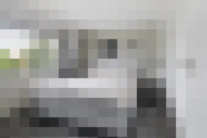 Sint Martensdyk 34 Scharnegoutum thumbnail 31
