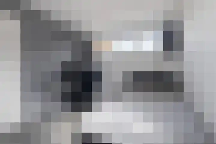 Sint Martensdyk 34 Scharnegoutum thumbnail 37