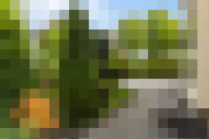 Sint Martensdyk 34 Scharnegoutum thumbnail 50