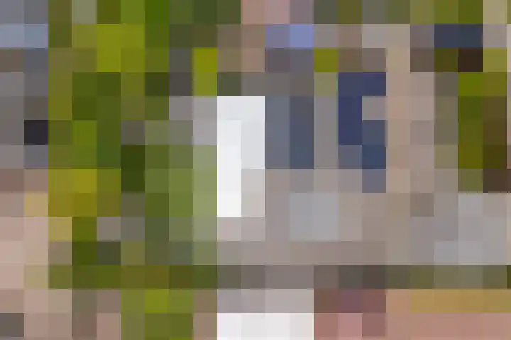 Sint Martensdyk 34 Scharnegoutum thumbnail 52