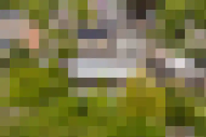 Sint Martensdyk 34 Scharnegoutum thumbnail 53