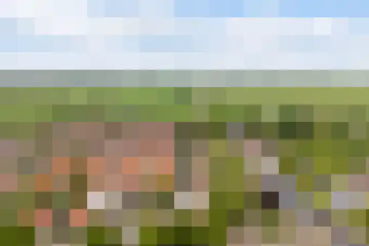 Sint Martensdyk 34 Scharnegoutum thumbnail 54