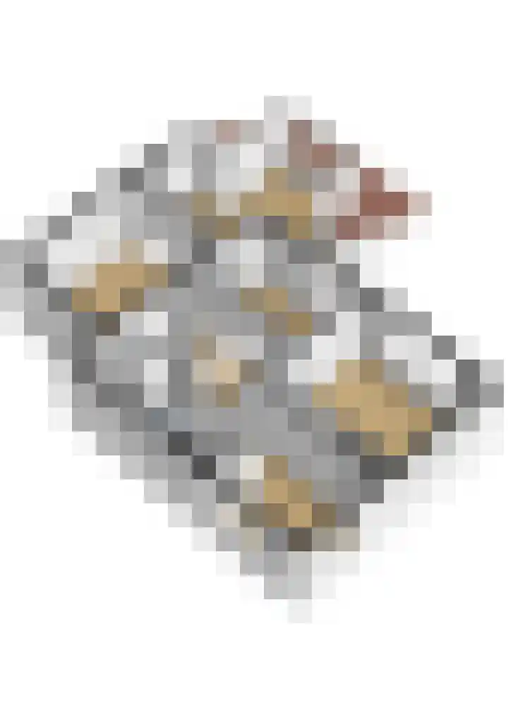 Sint Martensdyk 34 Scharnegoutum thumbnail 63