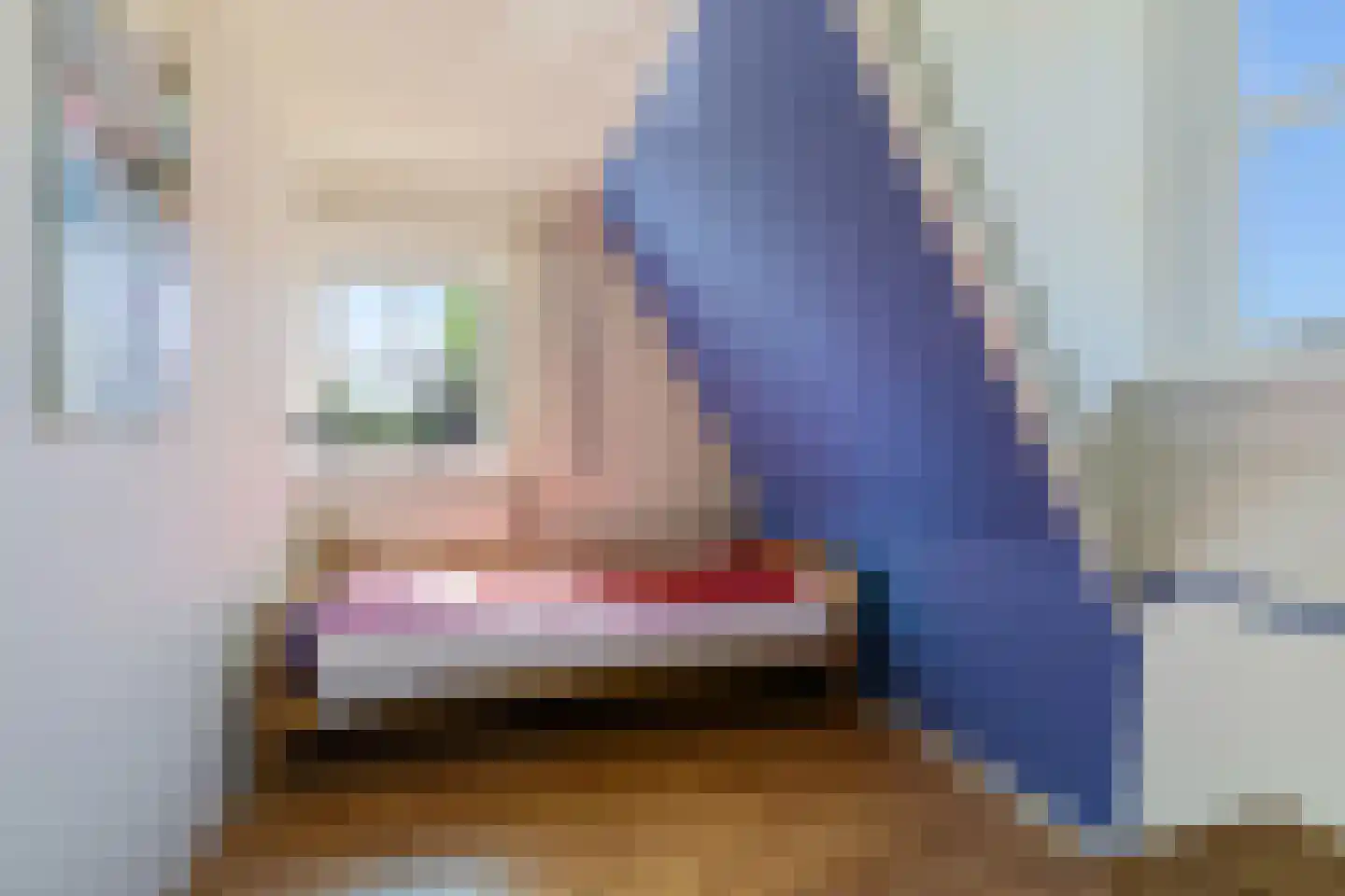 Sint Martensdyk 41 Scharnegoutum thumbnail 26